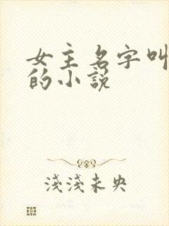 女主名字叫小乖的小说