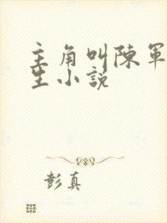 主角叫陈军的重生小说