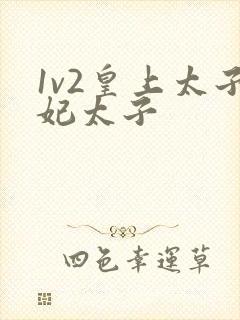 1v2皇上太子妃太子封面