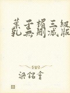 叶子楣三级露全乳无删减版封面
