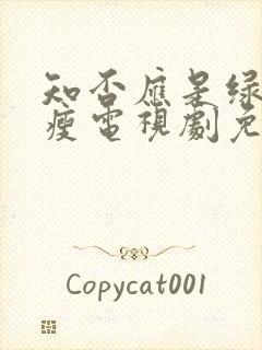 知否应是绿肥红瘦电视剧免费观看全集