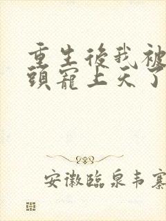 重生后我被死对头宠上天了在线听