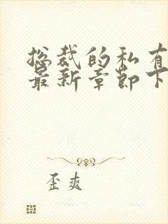 总裁的私有甜妻最新章节下载txt下载