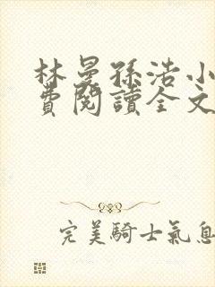 林曼孙浩小说免费阅读全文最新章节封面