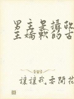 男主是摄政王女主娇软的古言