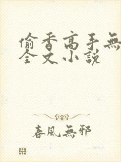 偷香高手无删减全文小说封面