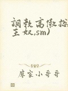 调教高傲总裁(主奴,sm)