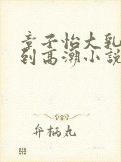 章子怡大乳被揉到高潮小说封面