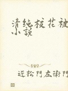 清纯校花被日常小说