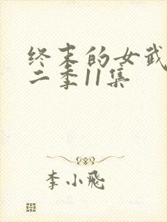终末的女武神第二季11集