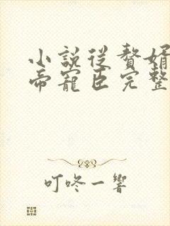 小说从赘婿到女帝宠臣完整版未删减小说