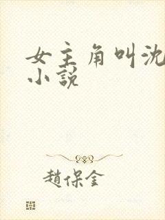 女主角叫沈颜的小说封面