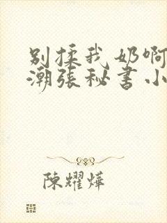 别揉我奶啊嗯高潮张秘书小说