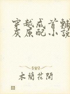 穿越成首辅的炮灰原配小说免费阅读封面