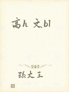 高h 文bl