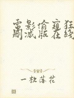 电影偷窥狂人未删减版在线观看高清封面