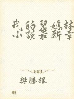 我的儿媳林曼曼小说最新章节更新时