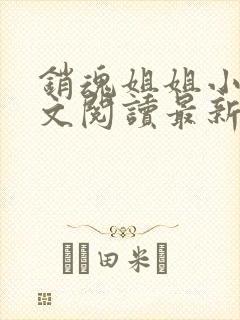 销魂姐姐小说全文阅读最新章节列表