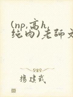(np,高h,纯肉)老师文