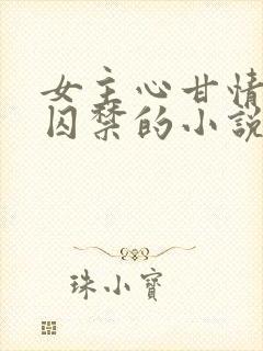 女主心甘情愿被囚禁的小说