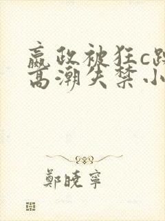 嬴政被狂c躁到高潮失禁小说封面