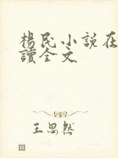 杨民小说在线阅读全文