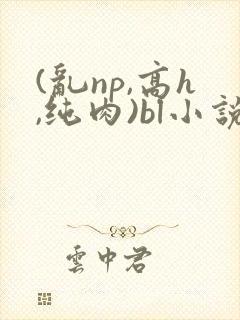 (乱np,高h,纯肉)bl小说