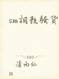 sm调教骚货h
