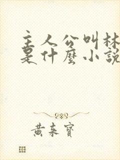 主人公叫林海的是什么小说