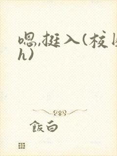 嗯,挺入(校园h)封面