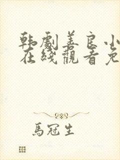 韩剧善良小 子在线观看免费封面