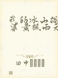 我的冰山总裁老婆 黄枫雨天