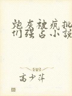 炮灰被疯批男主们强占小说封面