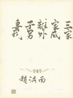 妻子离家三年,我另外成家了小说