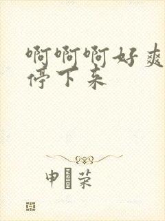 啊啊啊好爽不要停下来封面