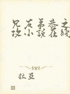 兄友弟恭之谁是攻小说在线阅读全文