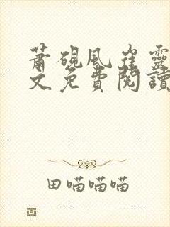 萧砚风崔灵婉全文免费阅读封面