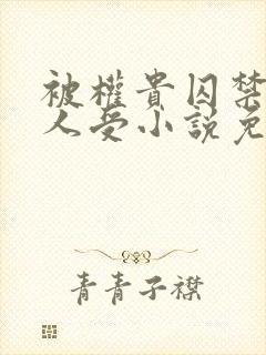 被权贵囚禁的美人受小说免费阅读下