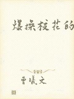 爆操校花的小说