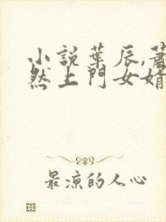 小说叶辰,萧初然上门女婿