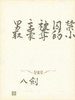 男主被囚禁被强取豪夺的小说笔趣阁封面