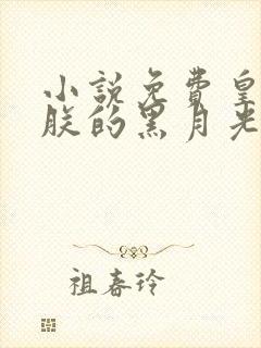 小说免费皇后是朕的黑月光