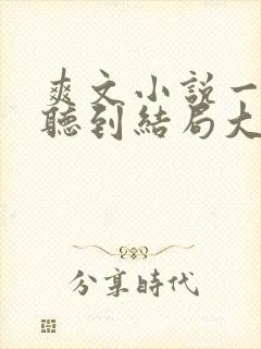 爽文小说一口气听到结局大女主