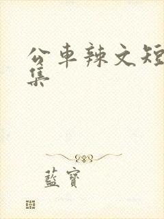 公车辣文短篇合集