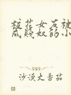 校花女友被调教成贱奴的小说