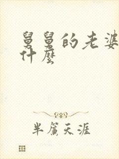 舅舅的老婆我叫什么封面