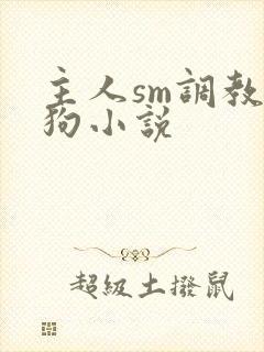 主人sm调教母狗小说