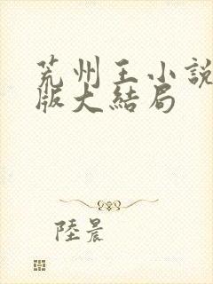 荒州王小说完整版大结局封面