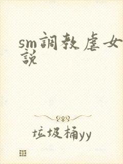 sm调教虐女小说