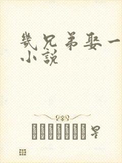 几兄弟娶一妻的小说